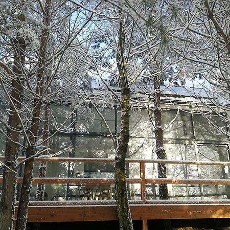 Luksusowy- Nowoczesny Dom W Lesie Kowalewo Exterior foto
