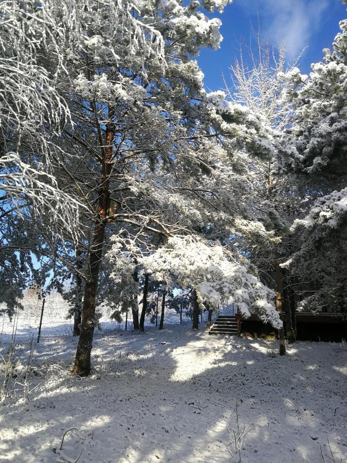 Luksusowy- Nowoczesny Dom W Lesie Kowalewo Exterior foto