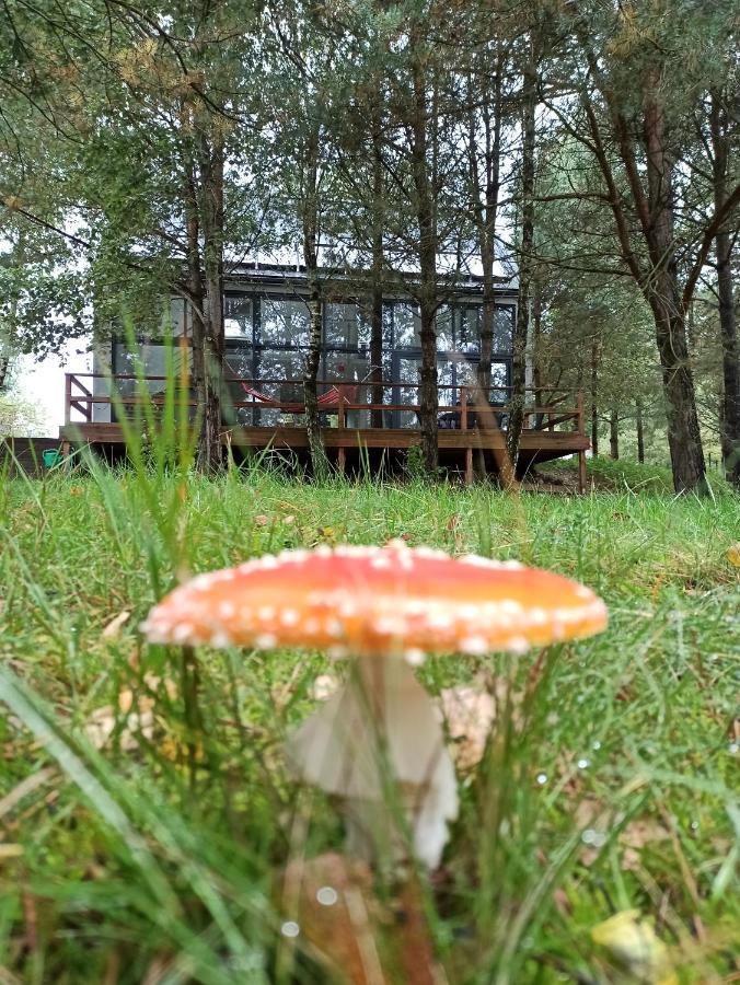 Luksusowy- Nowoczesny Dom W Lesie Kowalewo Exterior foto